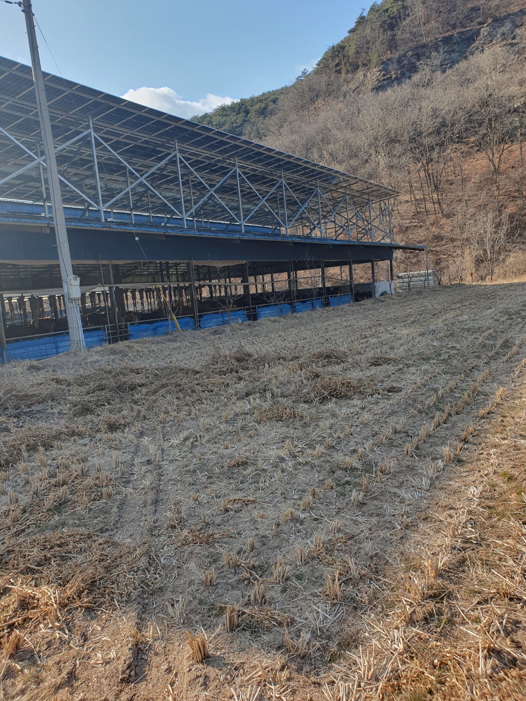 과도한 태양광 인허가로 온 가족이 큰 고통을 받고 있습니다.