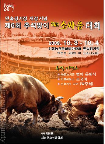 소싸움대회
