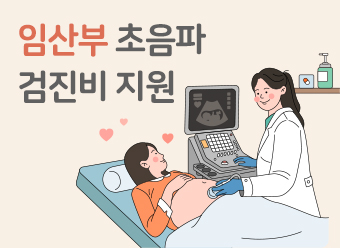 임산부 초음파 검진비 지원